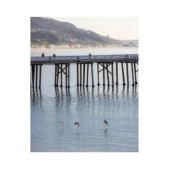 Pier Birds Print