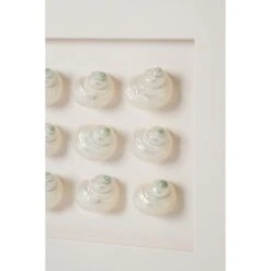 Mini Pearl Turbo Shell Framed Art 9 Mini Pearl Turbo Shell Framed Art -Sabre Home Decor Sale ART 1255 ALT