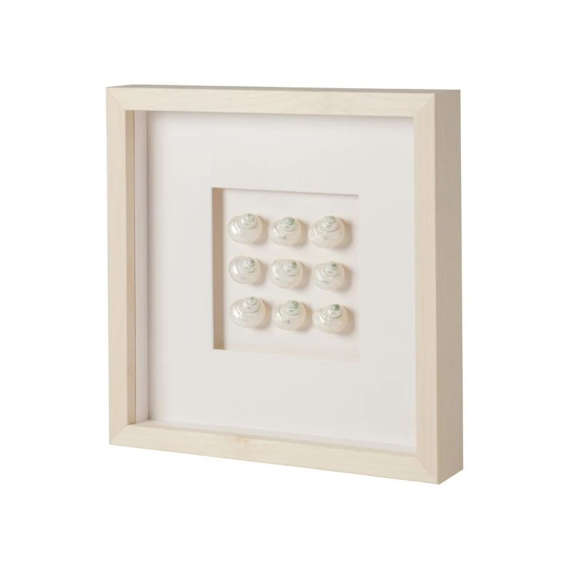 Mini Pearl Turbo Shell Framed Art 6 Mini Pearl Turbo Shell Framed Art - Image 6
