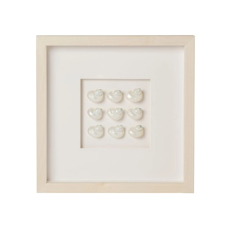 Mini Pearl Turbo Shell Framed Art 1 Mini Pearl Turbo Shell Framed Art