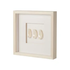 Mini Pearl Abalone Shell Framed Art -Sabre Home Decor Sale ART 1256 ALT