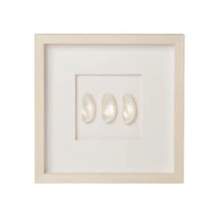 Mini Pearl Abalone Shell Framed Art