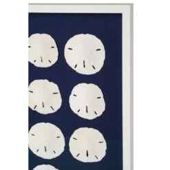 Sand Dollar Framed Art - Navy 9 Sand Dollar Framed Art - Navy -Sabre Home Decor Sale ART 1258 ALT