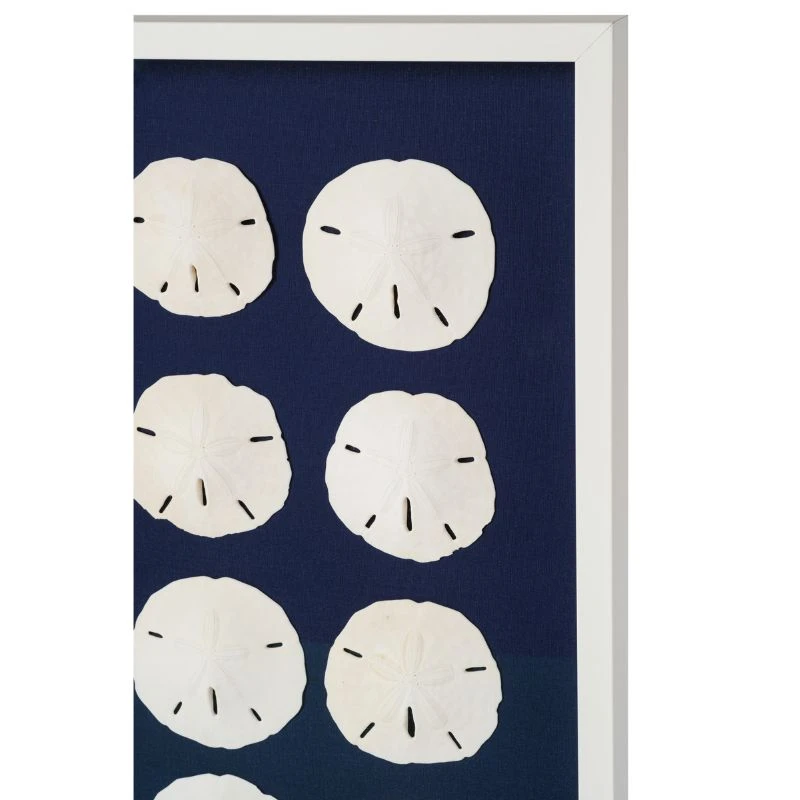 Sand Dollar Framed Art - Navy 5 Sand Dollar Framed Art - Navy - Image 5