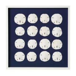 Sand Dollar Framed Art - Navy