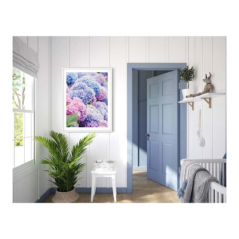 Blue And Pink Nantucket Hydrangeas Print 3 Blue And Pink Nantucket Hydrangeas Print - Image 3
