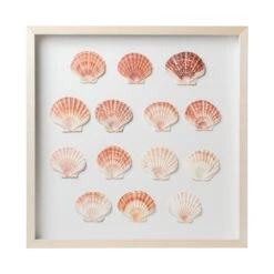 Sea Scallop Framed Art -Sabre Home Decor Sale DTS 20250116 CailiniCoastal 0001