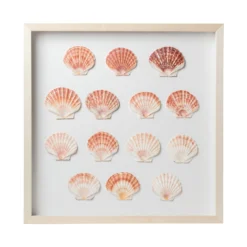 Sea Scallop Framed Art -Sabre Home Decor Sale DTS 20250116 CailiniCoastal 0001 scaled
