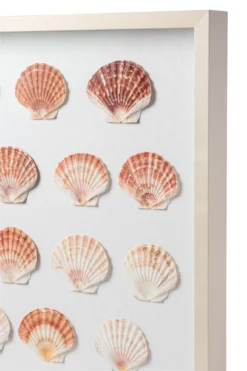 Sea Scallop Framed Art -Sabre Home Decor Sale DTS 20250116 CailiniCoastal 0002 scaled