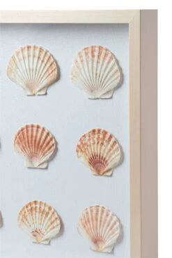 Sea Scallop Framed Art -Sabre Home Decor Sale DTS 20250116 CailiniCoastal 0004