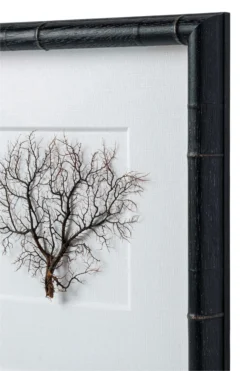 Exotic Sea Fan Art -Sabre Home Decor Sale DTS 20250116 CailiniCoastal 0006 scaled