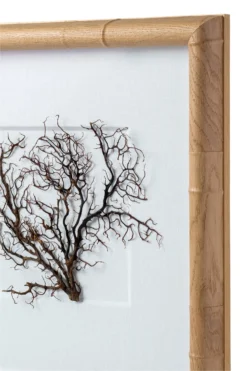 Exotic Sea Fan Art -Sabre Home Decor Sale DTS 20250116 CailiniCoastal 0008 scaled