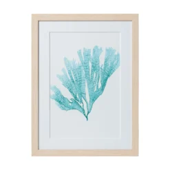 Seaweed Framed Art - Print F