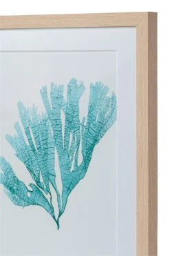 Seaweed Framed Art - Print F -Sabre Home Decor Sale DTS 20250116 CailiniCoastal 0018