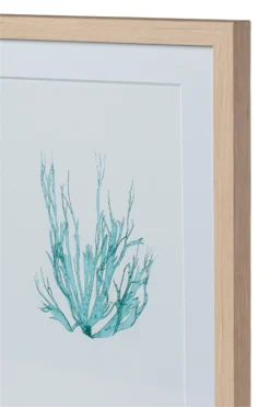 Seaweed Framed Art - Print A -Sabre Home Decor Sale DTS 20250116 CailiniCoastal 0020 scaled