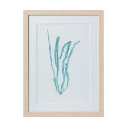 Seaweed Framed Art - Print E