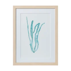 Seaweed Framed Art - Print E