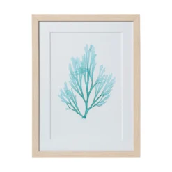 Seaweed Framed Art - Print C