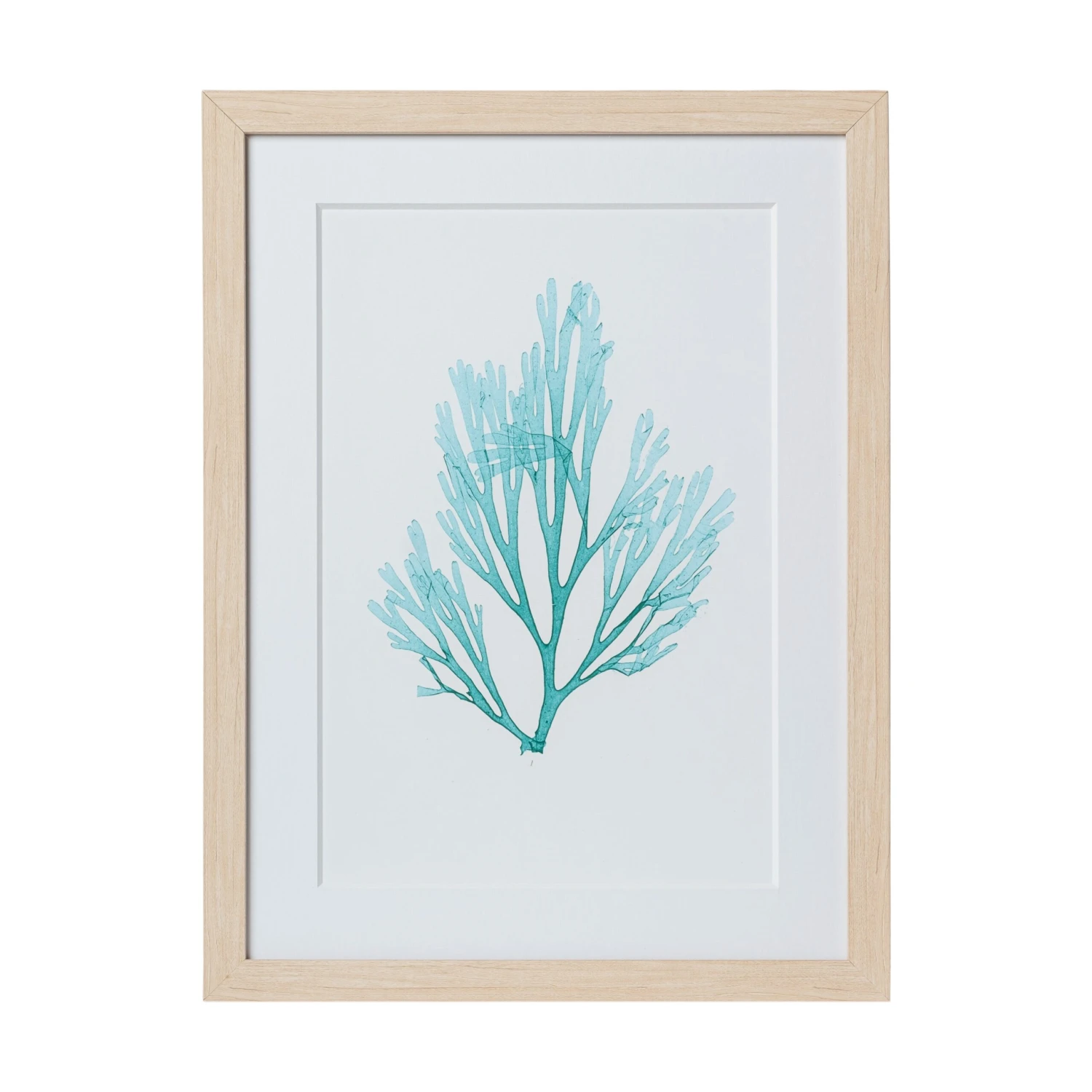 Seaweed Framed Art - Print C 1 Seaweed Framed Art - Print C