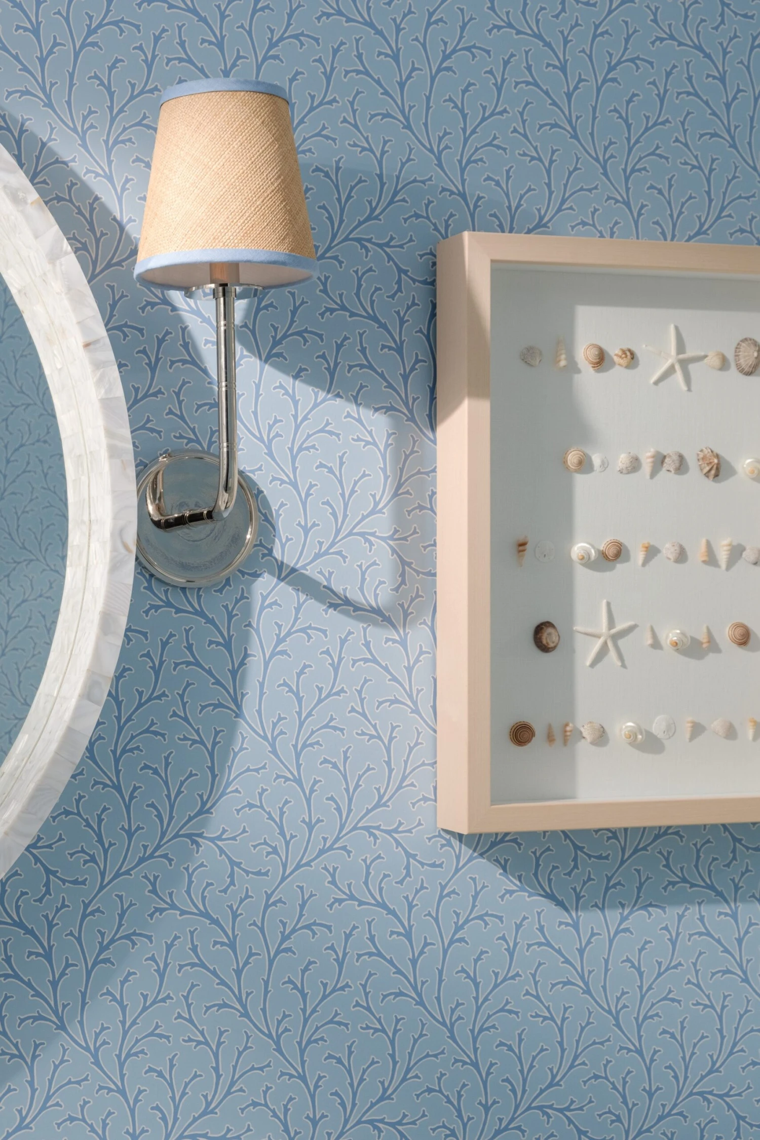 Bespoke Shell Study Art - Maple Frame 5 Bespoke Shell Study Art - Maple Frame - Image 5