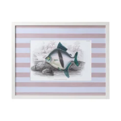 Stripe Fish Framed Art Print - B -Sabre Home Decor Sale DTS 20250327 CailiniCoastal 0007 pink scaled