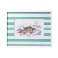 Stripe Fish Framed Art Print - D -Sabre Home Decor Sale DTS 20250327 CailiniCoastal 0009 green 216b7592 a43f 4358 ab15 1445723bba1c