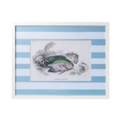 Stripe Fish Framed Art Print - E -Sabre Home Decor Sale DTS 20250327 CailiniCoastal 0011 blue scaled
