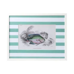 Stripe Fish Framed Art Print - E -Sabre Home Decor Sale DTS 20250327 CailiniCoastal 0011 green scaled