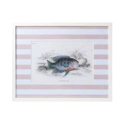 Stripe Fish Framed Art Print - C 9 Stripe Fish Framed Art Print - C -Sabre Home Decor Sale DTS 20250327 CailiniCoastal 0013 pink