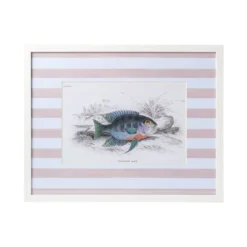 Stripe Fish Framed Art Print - C -Sabre Home Decor Sale DTS 20250327 CailiniCoastal 0013 pink scaled