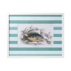 Stripe Fish Framed Art Print - F -Sabre Home Decor Sale DTS 20250327 CailiniCoastal 0015 green scaled