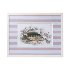 Stripe Fish Framed Art Print - F -Sabre Home Decor Sale DTS 20250327 CailiniCoastal 0015 pink scaled