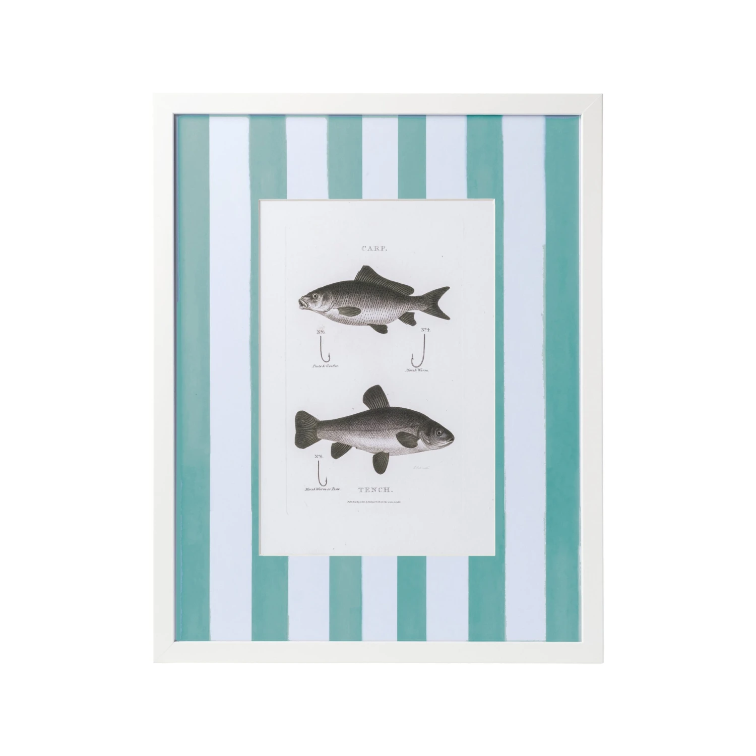 Vintage Freshwater Fish Print Framed Art 14 Vintage Freshwater Fish Print Framed Art - Image 14