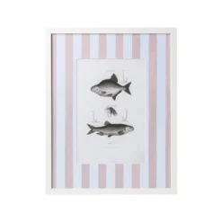 Vintage Freshwater Fish Print Framed Art -Sabre Home Decor Sale DTS 20250327 CailiniCoastal 0019 pink scaled