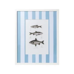 Vintage Freshwater Fish Print Framed Art -Sabre Home Decor Sale DTS 20250327 CailiniCoastal 0021 blue scaled