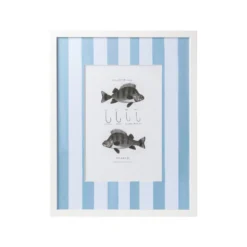 Vintage Freshwater Fish Print Framed Art -Sabre Home Decor Sale DTS 20250327 CailiniCoastal 0023 blue scaled