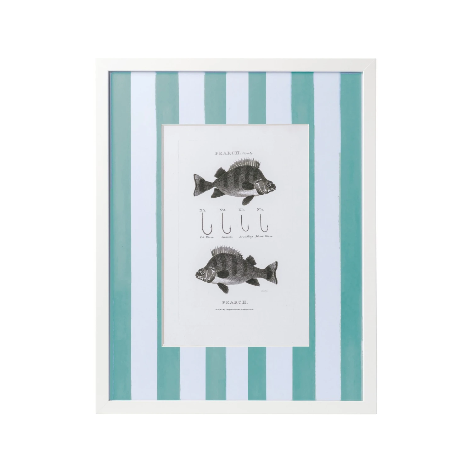 Vintage Freshwater Fish Print Framed Art 17 Vintage Freshwater Fish Print Framed Art - Image 17