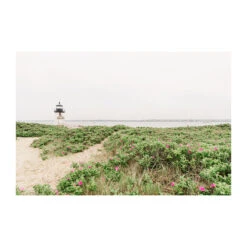 Dunes At Brant Point In Spring Print