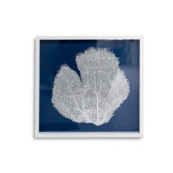 Sea Fan Framed Art - White On Navy 7 Sea Fan Framed Art - White On Navy -Sabre Home Decor Sale MollyRosePhoto Cailini July27 202 2 Edit