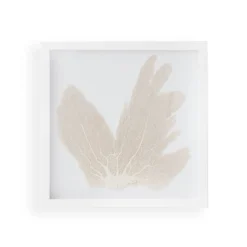 Sea Fan Framed Art - Oyster -Sabre Home Decor Sale MollyRosePhoto CailiniCoastal MAY20 10643 2 Edit