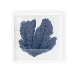 Sea Fan Framed Art - Navy -Sabre Home Decor Sale MollyRosePhoto CailiniCoastal MAY20 10646 2 Edit