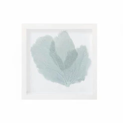 Sea Fan Framed Art - Blue Haze -Sabre Home Decor Sale MollyRosePhoto CailiniCoastal May7 9740 2 Edit