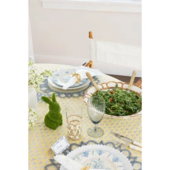 Spring Lake Light Blue Placemat - Set Of 4 -Sabre Home Decor Sale MollyRosePhoto Feb 2022 CailiniCoastal Feb17 028