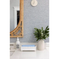 Cabana Stripe Guest Towels - Light Blue -Sabre Home Decor Sale MollyRosePhoto Feb 2022 CailiniCoastal Feb17 172 52ef318d 75e7 4876 a62a e09a175e4706