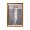 Antique Whale Framed Art - C