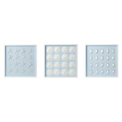 White Shell Art Trio