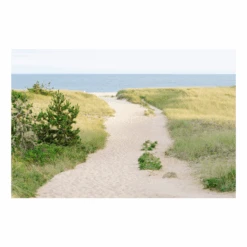 Surfside Beach Path