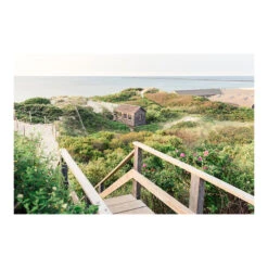 Steps Beach Summer View Print