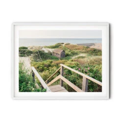 Steps Beach Summer View Print -Sabre Home Decor Sale StepsBeachSummerViewsolo