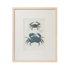 Blue Crab Framed Art